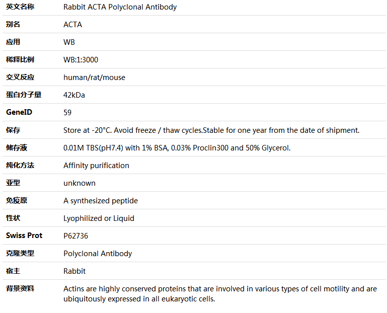 ACTA Antibody,索莱宝,K001557P-50ul