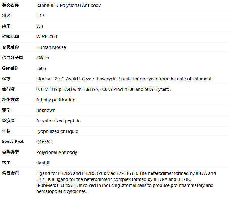 IL17 Antibody,索莱宝,K001554P-100ul