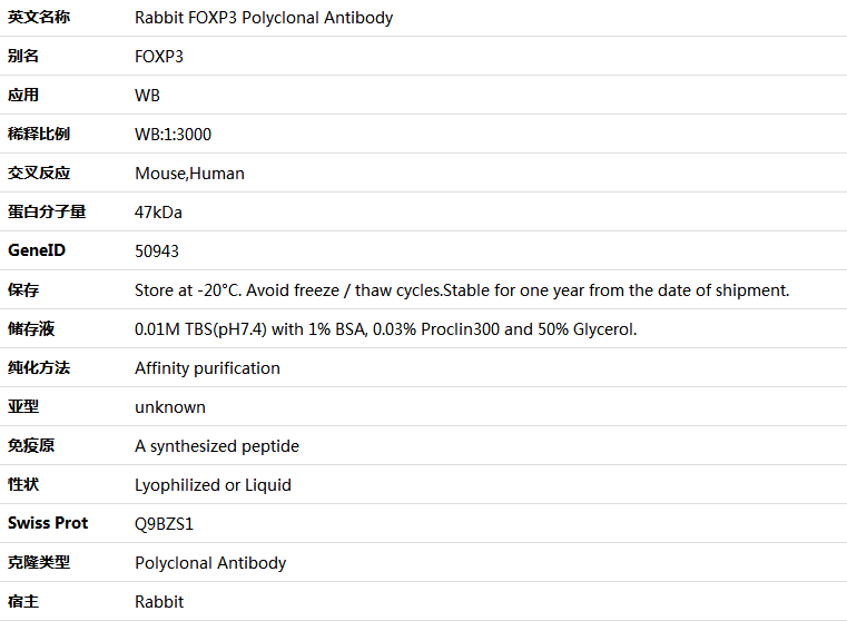 FOXP3 Antibody,索莱宝,K001550P-100ul