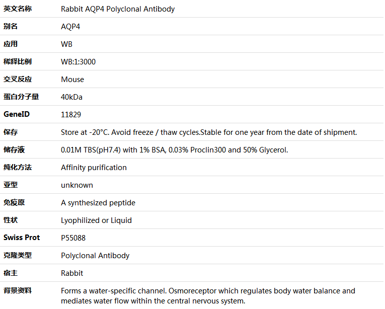 AQP4 Antibody,索莱宝,K001547P-100ul