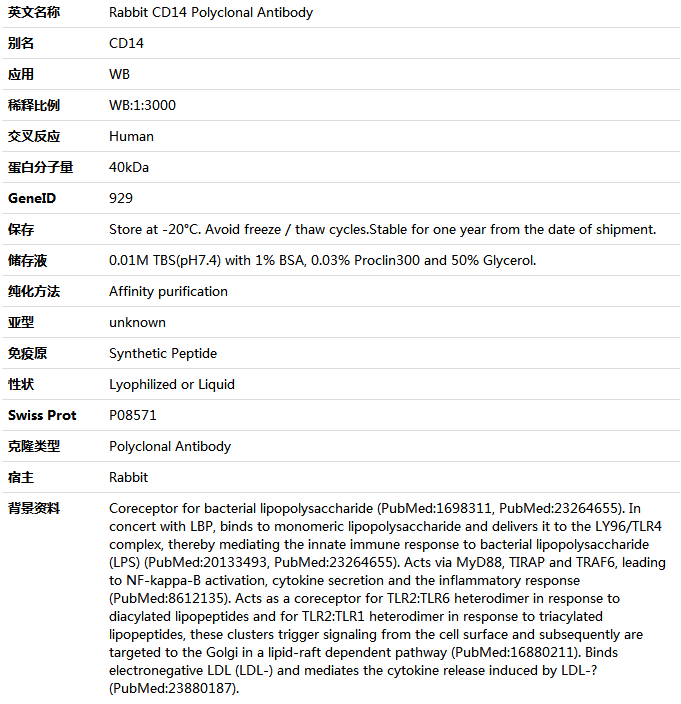 CD14 Antibody,索莱宝,K001533P-50ul