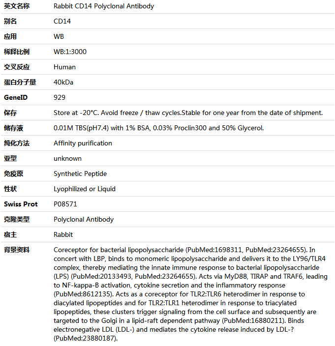 CD14 Antibody,索莱宝,K001533P-100ul