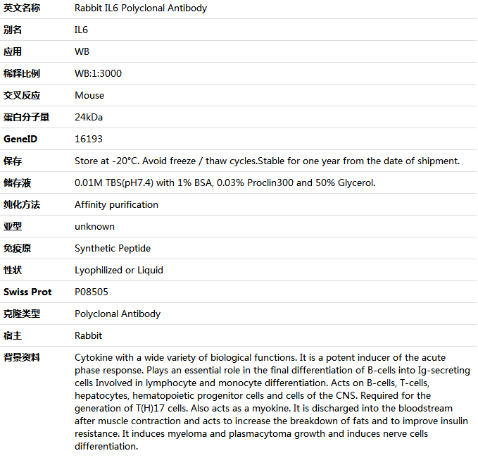 IL6 Antibody,索莱宝,K001536P-50ul