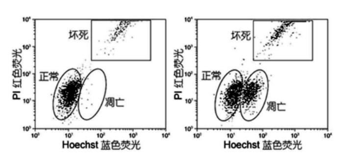 Hoechst 33342/PI双染试剂盒,索莱宝,CA1120-500T