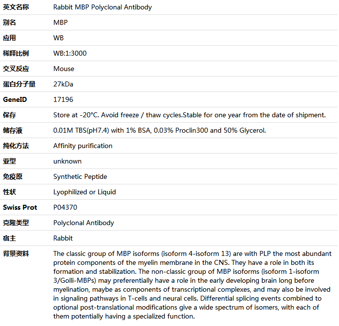 MBP Antibody,索莱宝,K001531P-100ul