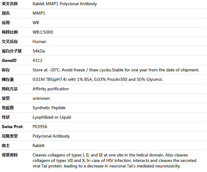 MMP1 Antibody,索莱宝,K001526P-50ul