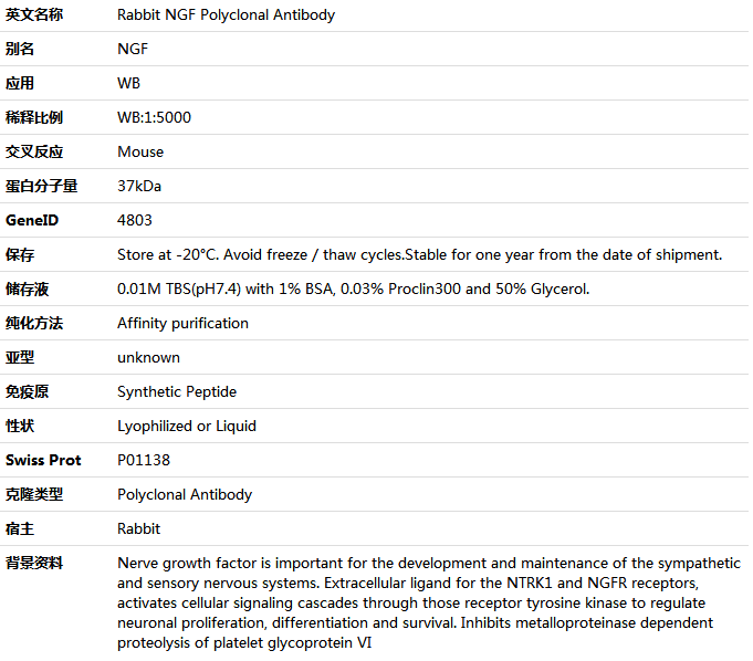NGF Antibody,索莱宝,K001525P-100ul
