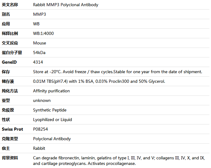 MMP3 Antibody,索莱宝,K001523P-50ul