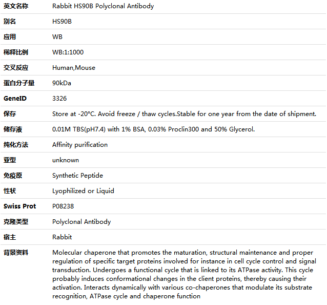 HS90B Antibody,索莱宝,K001515P-100ul