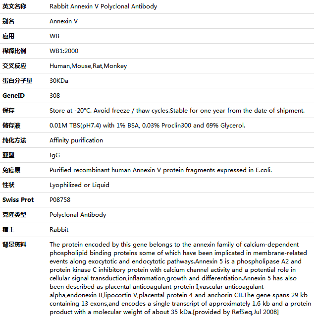 Annexin V Antibody,索莱宝,K001492P-50ul