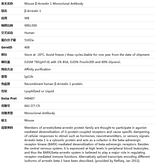 β-Arrestin 1 Antibody,索莱宝,K001487M-100ul