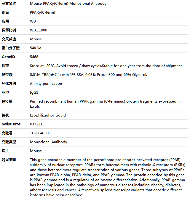PPARγ(C-term) Antibody,索莱宝,K001486M-50ul
