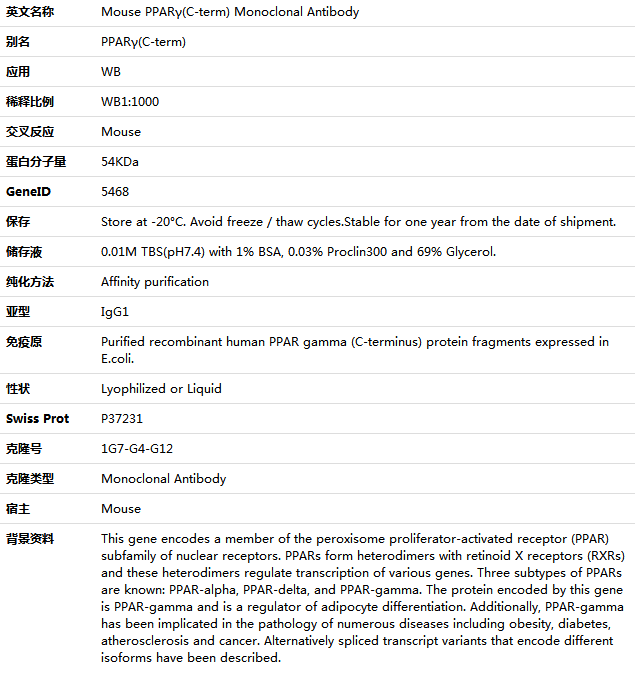 PPARγ(C-term) Antibody,索莱宝,K001486M-100ul