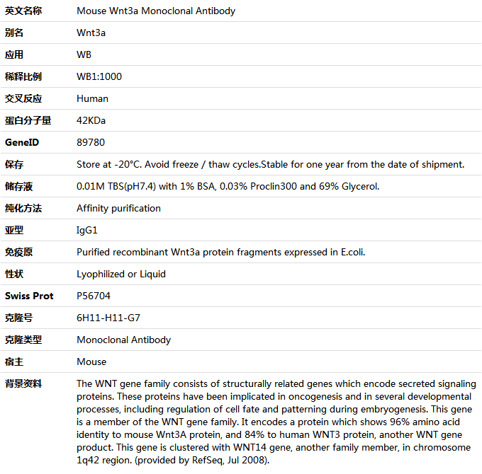 Wnt3a Antibody,索莱宝,K001467M-50ul