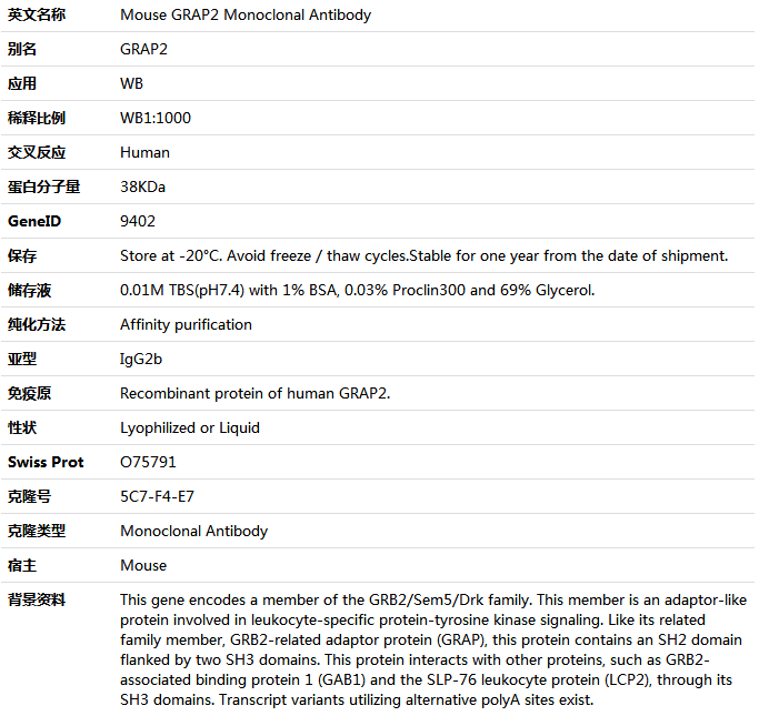 GRAP2 Antibody,索莱宝,K001465M-50ul