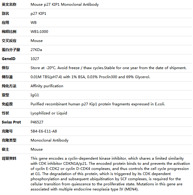 p27 KIP1 Antibody,索莱宝,K001454M-50ul