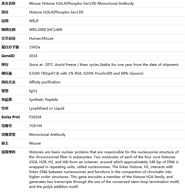 Histone H2A.X(Phospho-Ser139) Antibody,索莱宝,K001453M-