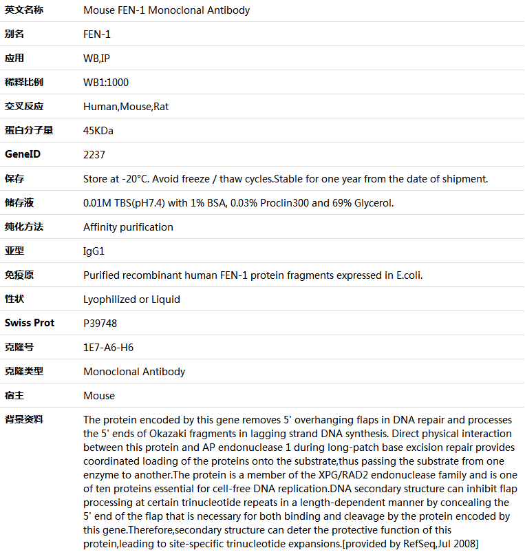 FEN-1 Antibody,索莱宝,K001442M-50ul