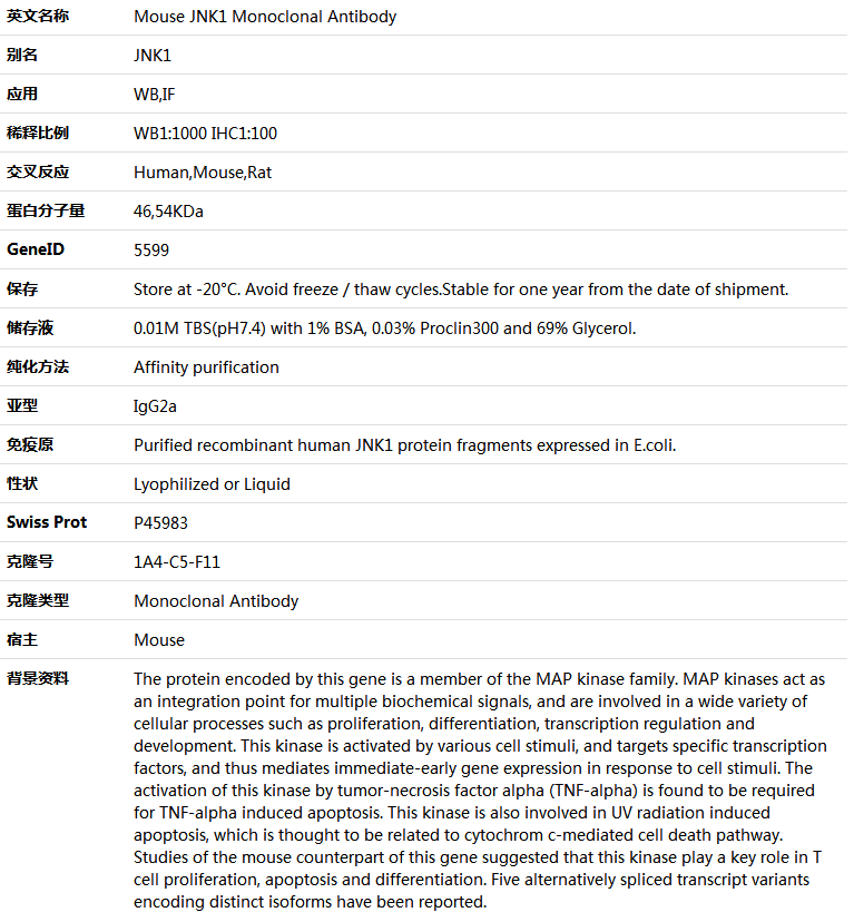 JNK1 Antibody,索莱宝,K001441M-50ul