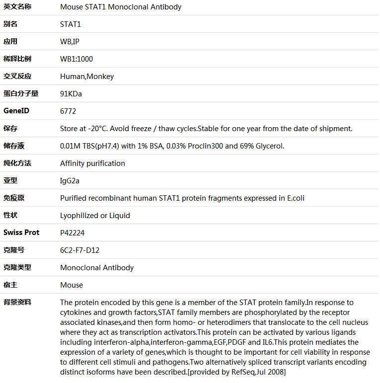 STAT1 Antibody,索莱宝,K001439M-50ul