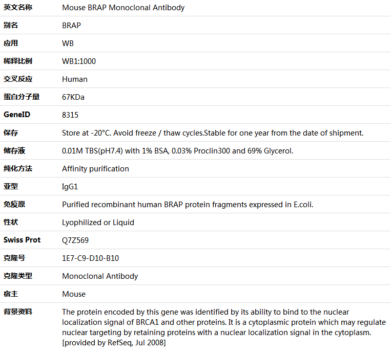 BRAP Antibody,索莱宝,K001438M-50ul