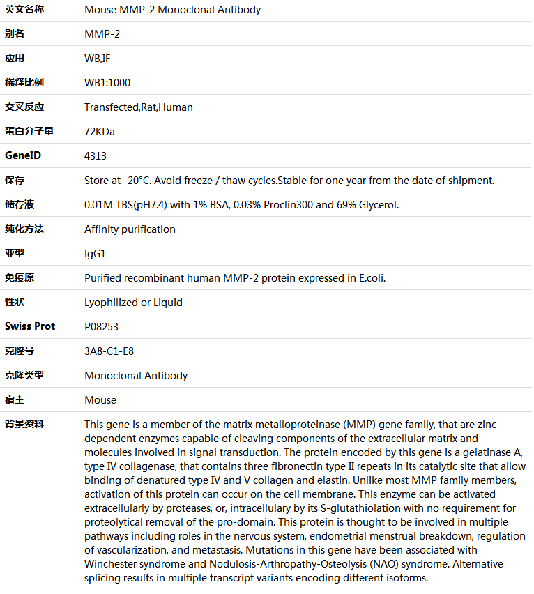 MMP-2 Antibody,索莱宝,K001437M-50ul