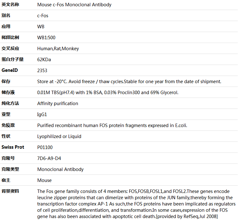 c-Fos Antibody,索莱宝,K001436M-100ul