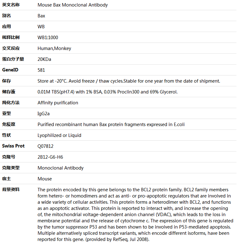 Bax Antibody,索莱宝,K001435M-100ul