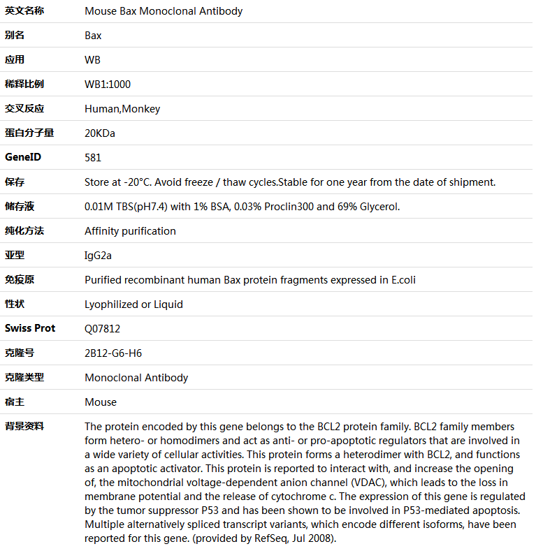 Bax Antibody,索莱宝,K001435M-50ul