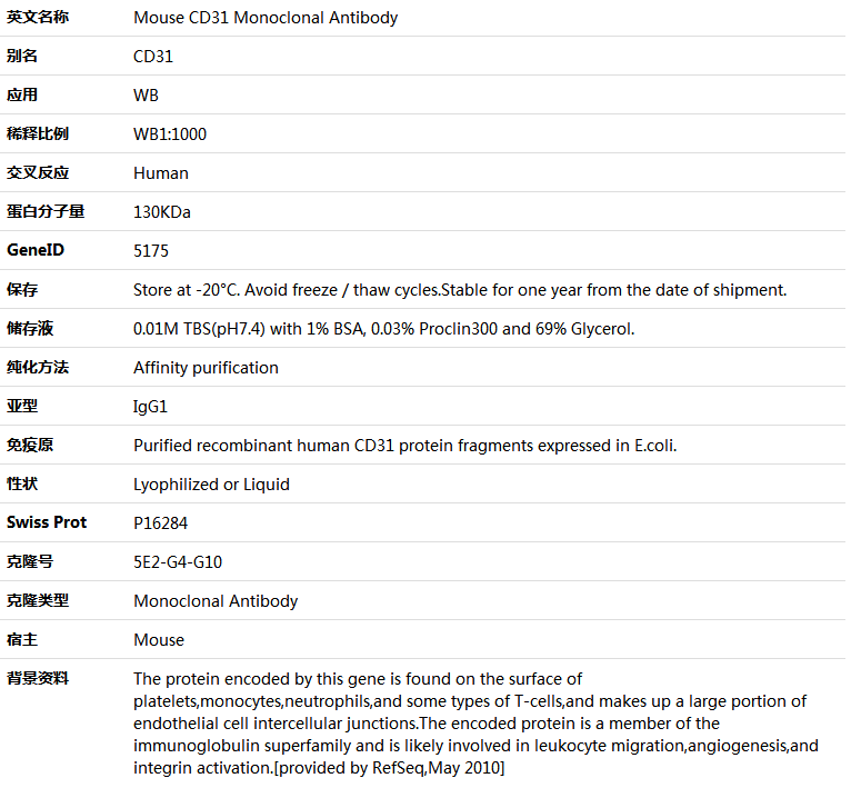 CD31 Antibody,索莱宝,K001431M-50ul