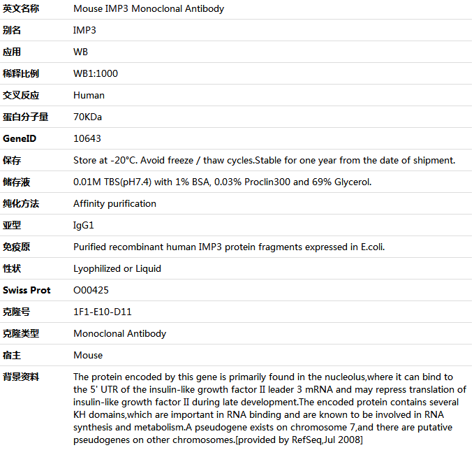 IMP3 Antibody,索莱宝,K001426M-50ul