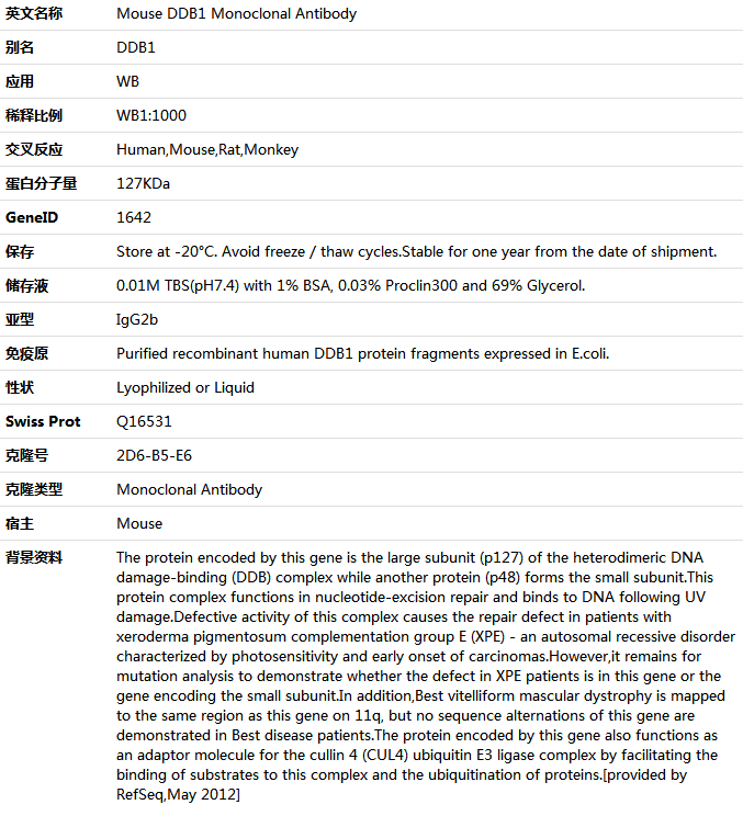 DDB1 Antibody,索莱宝,K001425M-50ul