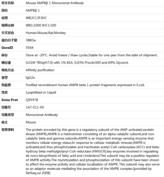 AMPKβ 1 Antibody,索莱宝,K001423M-100ul