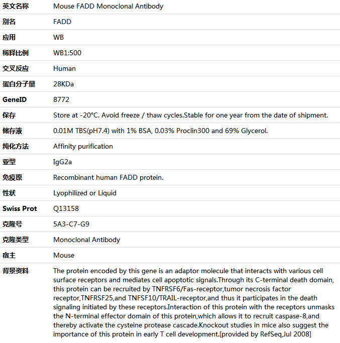 FADD Antibody,索莱宝,K001421M-100ul