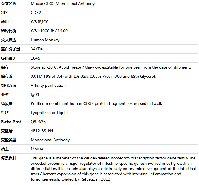 CDX2 Antibody,索莱宝,K001419M-50ul