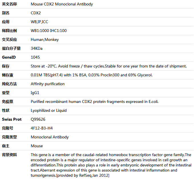 cIAP2 Antibody,索莱宝,K001418M-50ul