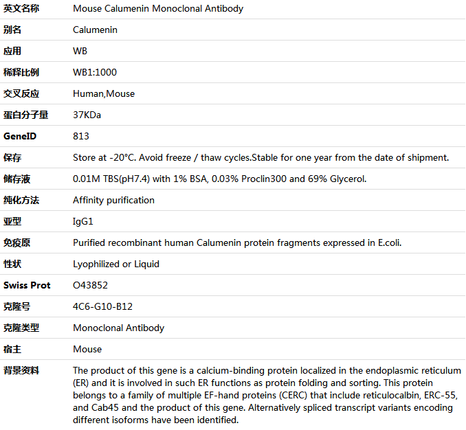 Calumenin Antibody,索莱宝,K001416M-100ul