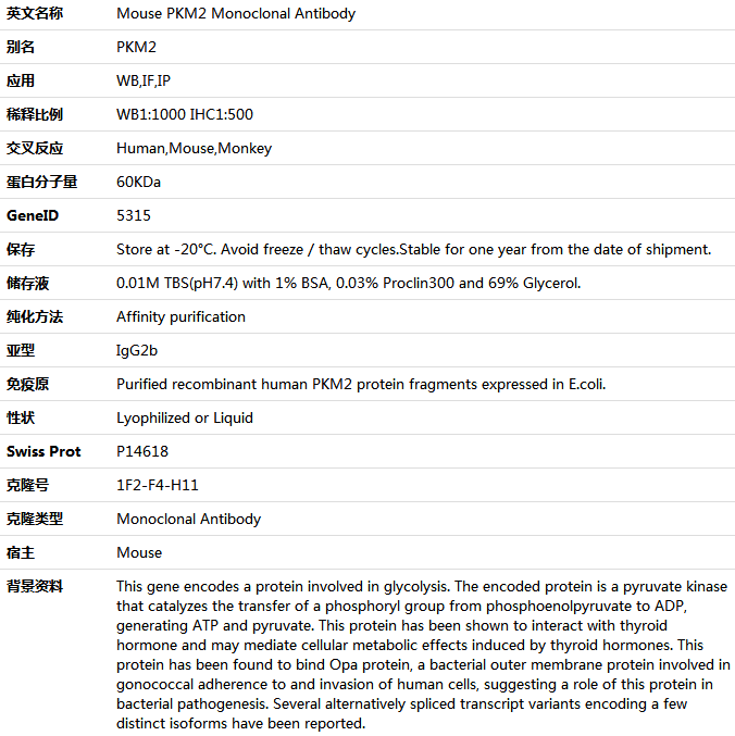 PKM2 Antibody,索莱宝,K001415M-100ul