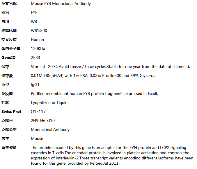 FYB Antibody,索莱宝,K001414M-100ul