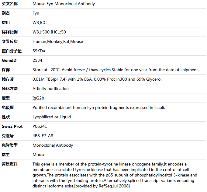 Fyn Antibody,索莱宝,K001405M-100ul