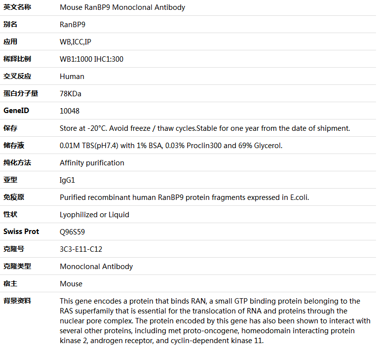 RanBP9 Antibody,索莱宝,K001403M-50ul