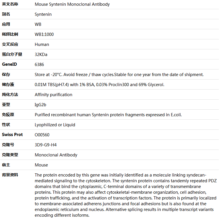 Syntenin Antibody,索莱宝,K001401M-50ul