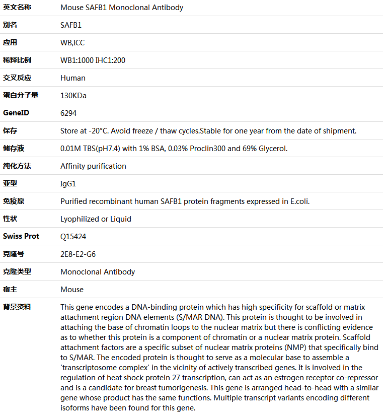 SAFB1 Antibody,索莱宝,K001400M-100ul