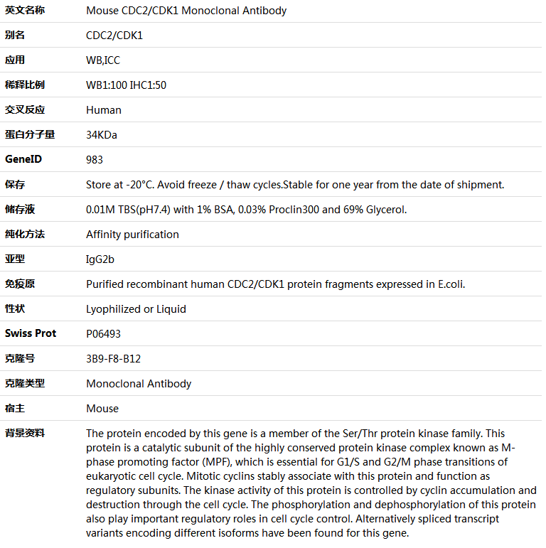 CDC2/CDK1 Antibody,索莱宝,K001395M-100ul