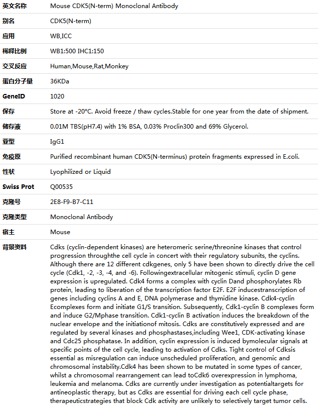CDK5(N-term) Antibody,索莱宝,K001394M-100ul