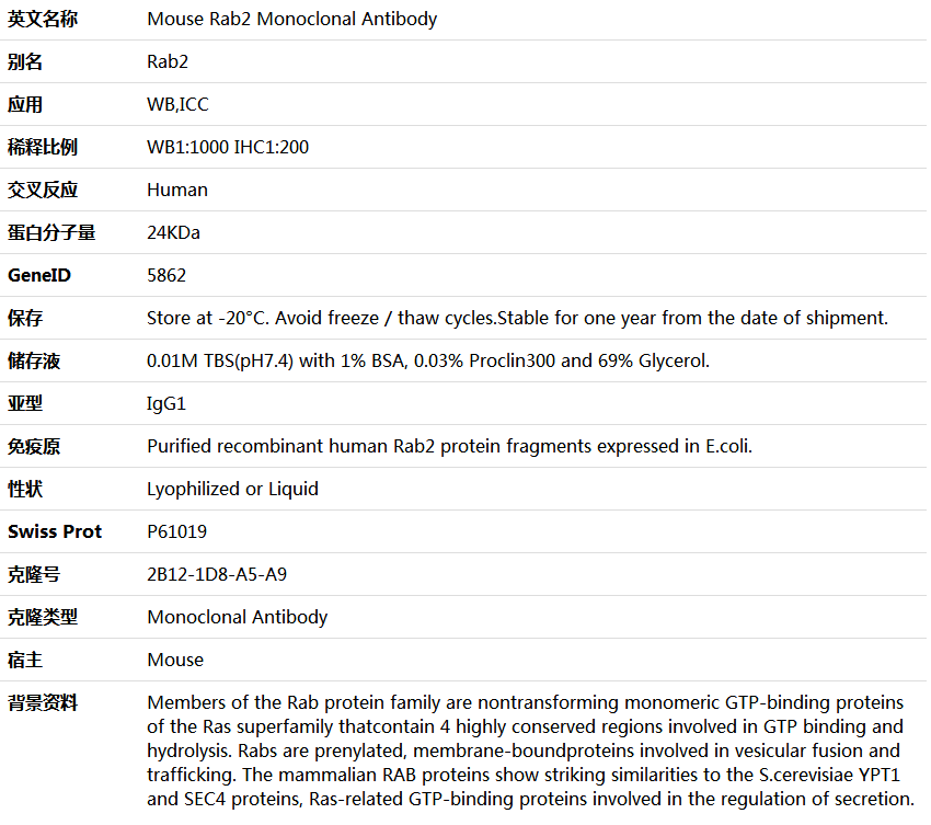 Rab2 Antibody,索莱宝,K001386M-50ul