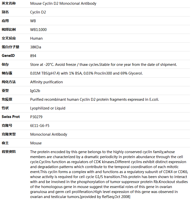 Cyclin D2 Antibody,索莱宝,K001385M-50ul