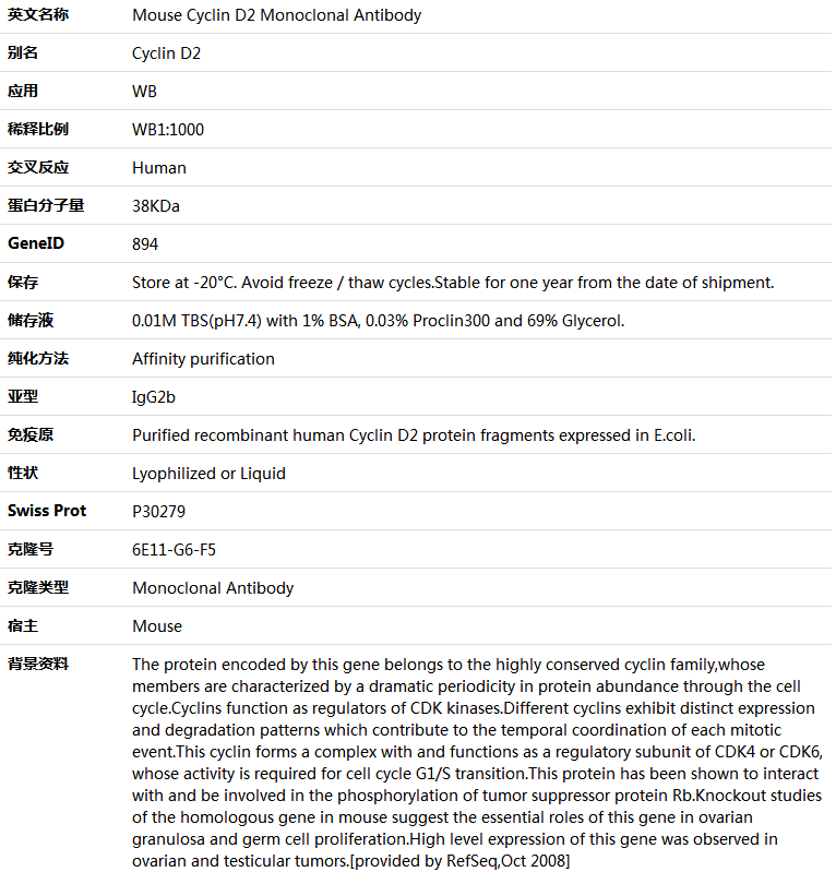 Cyclin D2 Antibody,索莱宝,K001385M-100ul