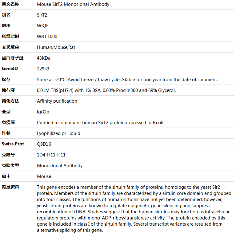 SirT2 Antibody,索莱宝,K001382M-50ul