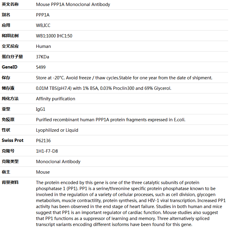 PPP1A Antibody,索莱宝,K001380M-100ul